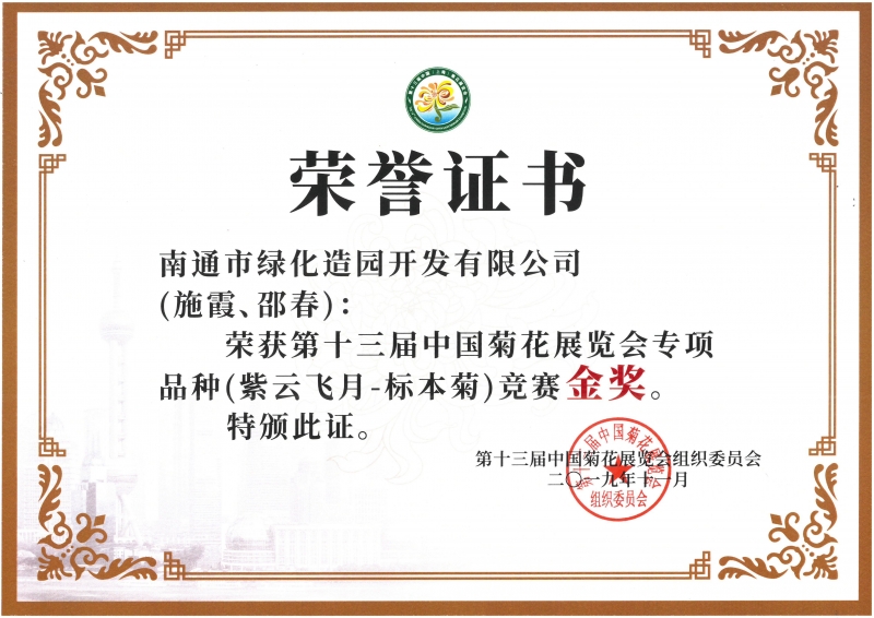 十三屆中國菊花展覽會專項品種（紫云飛月-標本菊）競賽金獎（施霞、邵春）